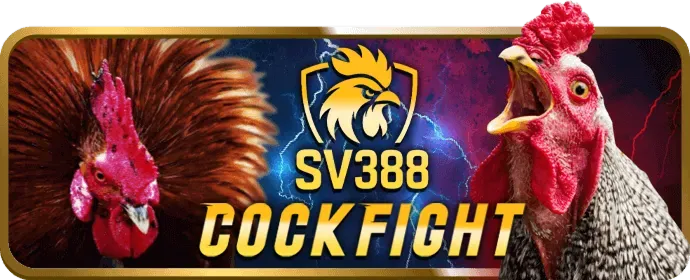 Hình ảnh minh họa dịch vụ hỗ trợ khách hàng của 100win game